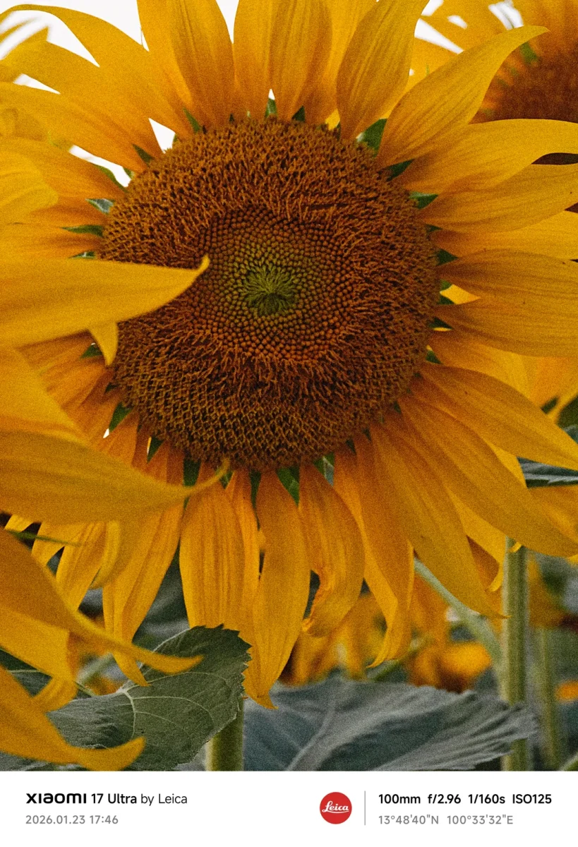 Xiaomi 17 Ultra Telemacro 8