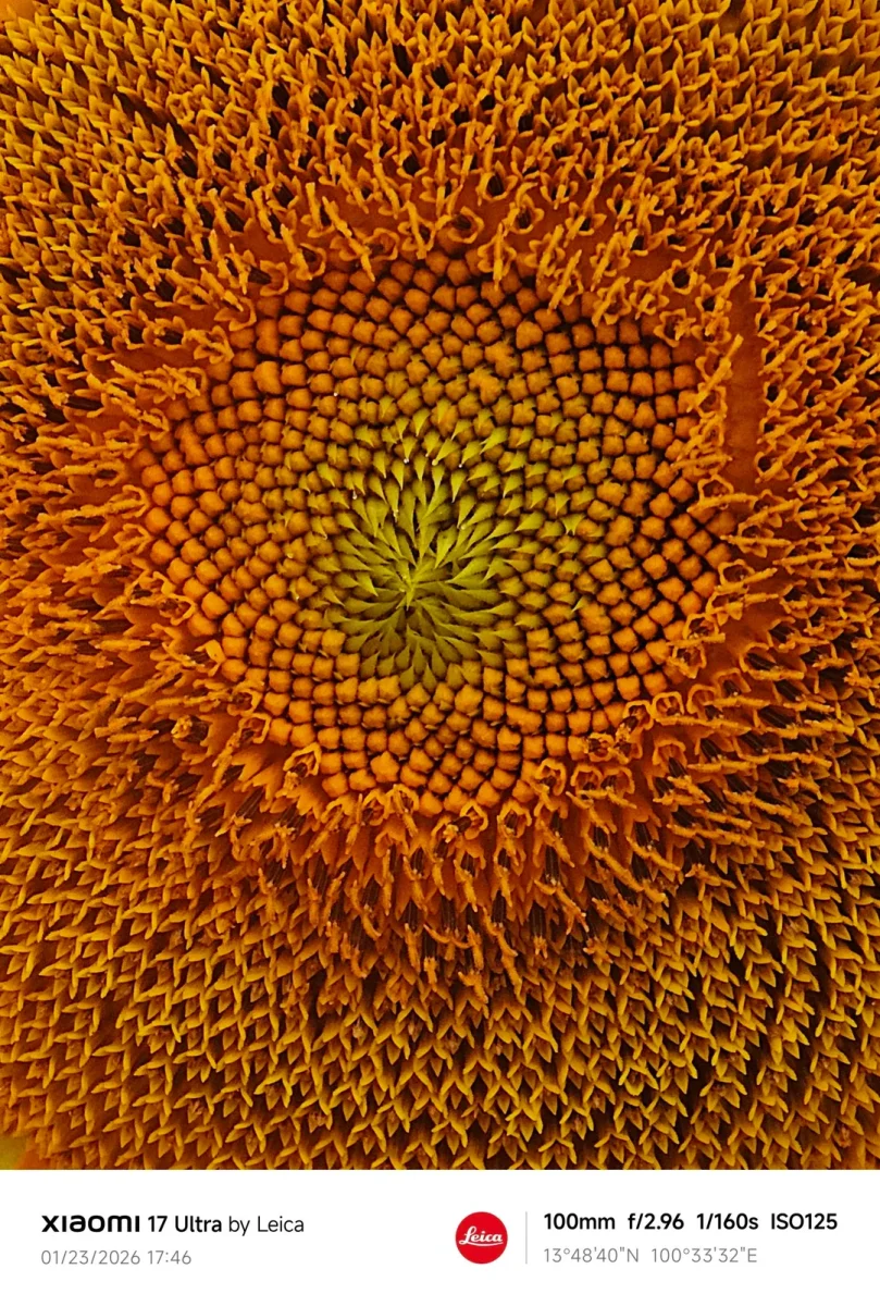 Xiaomi 17 Ultra Telemacro 9